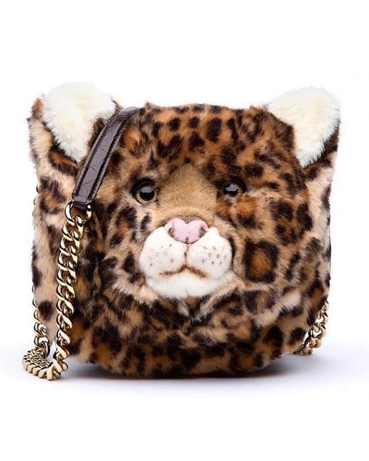Dolce & Gabbana Brown Bb6423-Am6161-Leopard