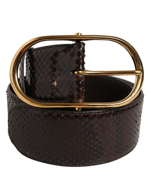 Dolce & Gabbana Black Brown Python Leather Gold Metal Buckle Belt