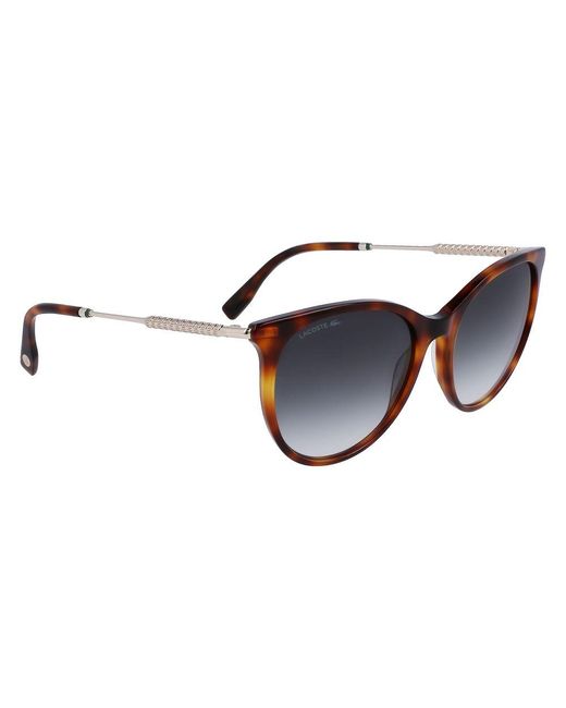 Lacoste Brown Acetate Sunglasses