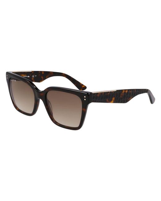 Lacoste Black Acetate Sunglasses