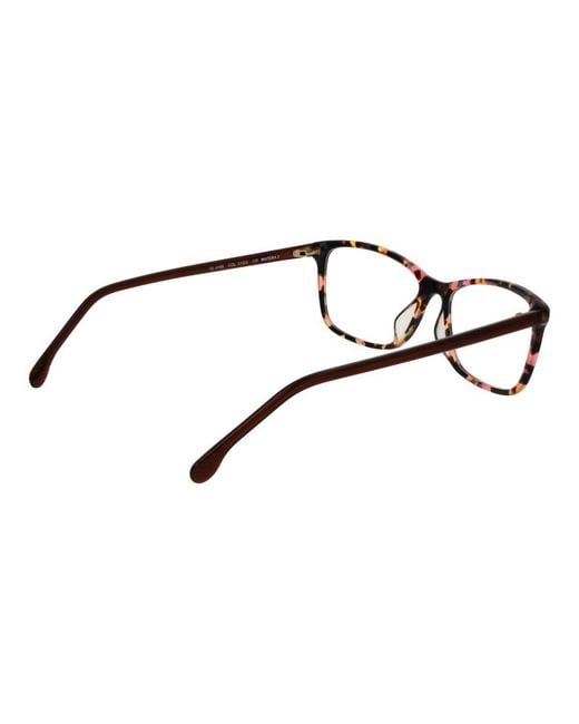 Lozza Brown Multicolor Cellulose Acetate Glasses (frames)