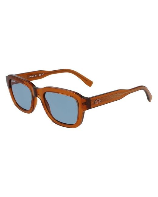 Lacoste Brown Sunglasses