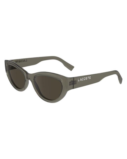 Lacoste Brown Injected Sunglasses