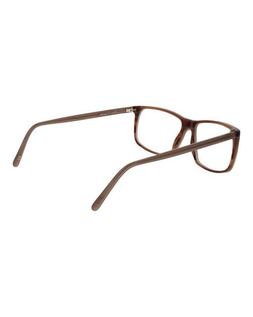 Andy Wolf Brown Acetate Glasses (frames)