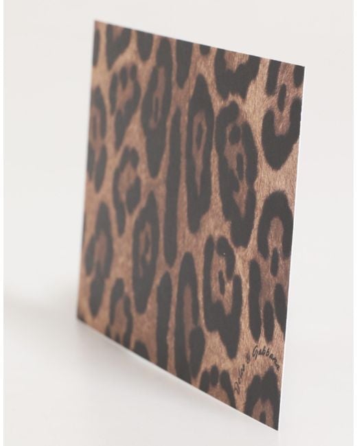 Dolce & Gabbana Multicolor Leopard Print Envelope Paper Post Card Holder