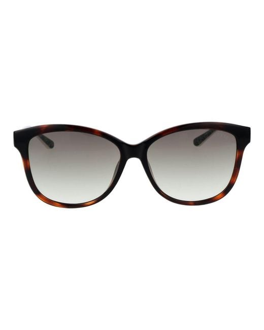 Guess Black Brown Plastic Sunglasses