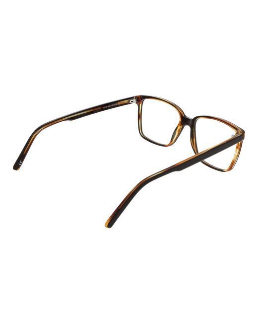 Andy Wolf Brown Acetate Glasses (Frames)
