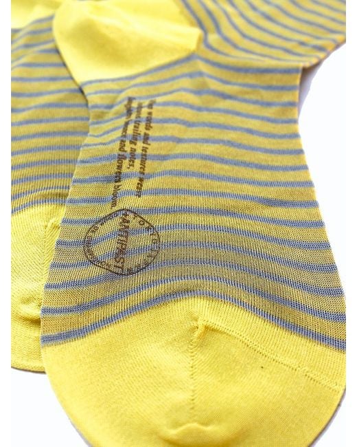 Antipast Green Striped Socks