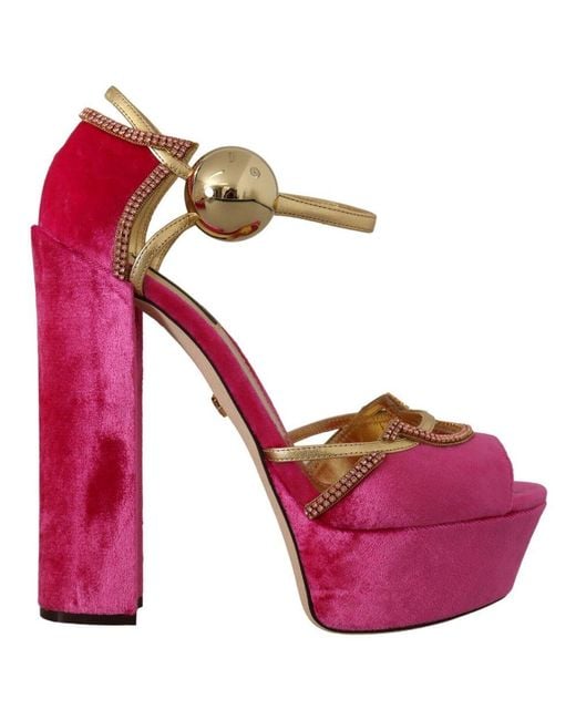 Dolce & Gabbana Pink Cr0896-Aj700-Fuxia