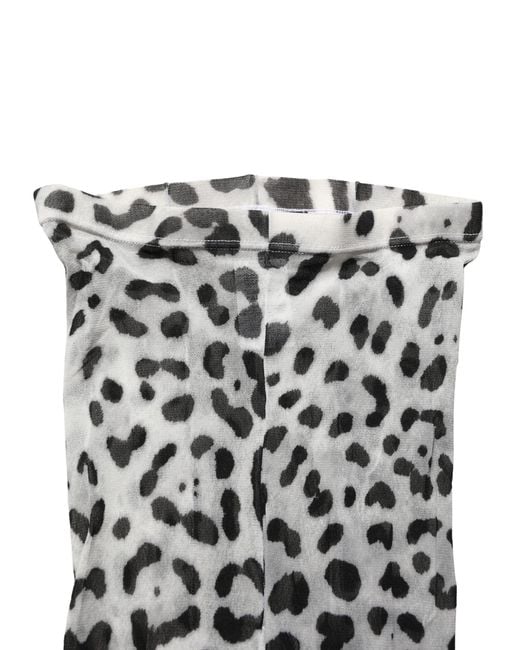 Dolce & Gabbana Gray Leopard Nylon Tights Stocking Pantyhose Socks