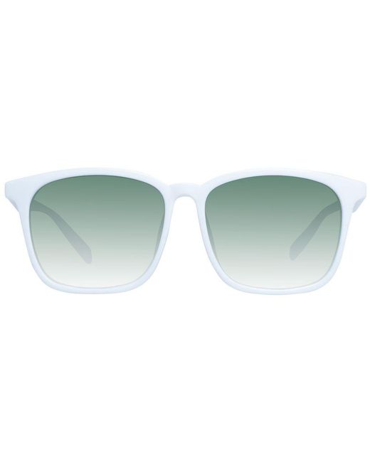 Spy Green Sunglasses