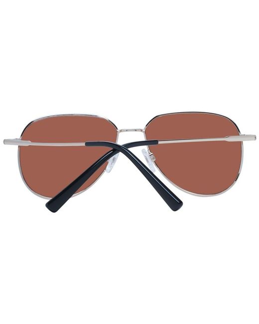 Serengeti Brown Rose Gold Metal Sunglasses