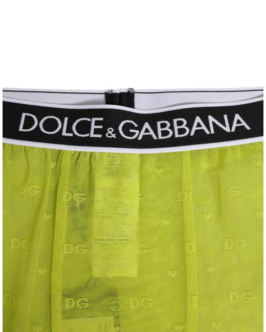 Dolce & Gabbana Green Leggings