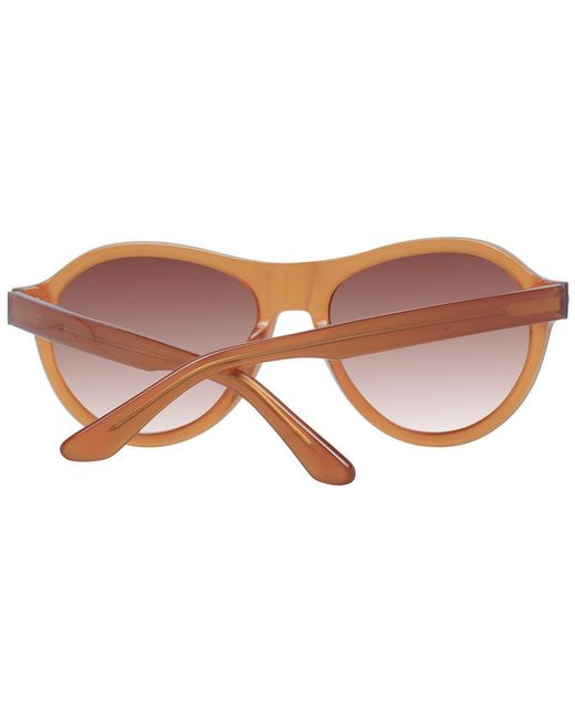 Serengeti Brown Men Sunglasses for men