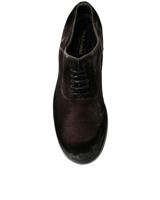 Dolce & Gabbana Black Brown Velvetlace Up Oxford Dress Shoes for men