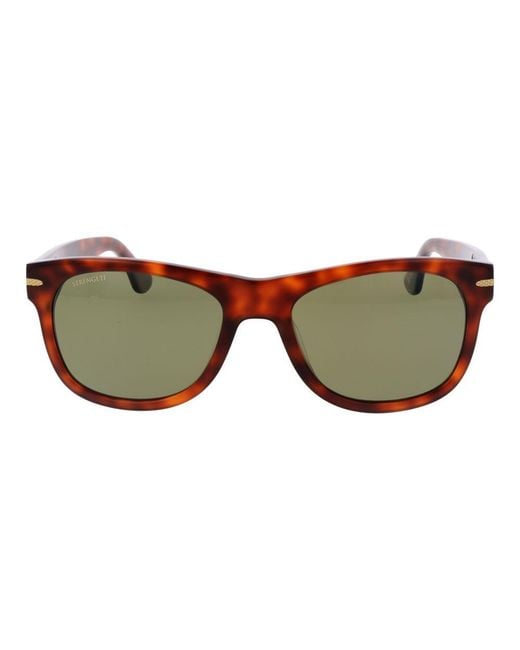 Serengeti Brown Plastic Sunglasses for men