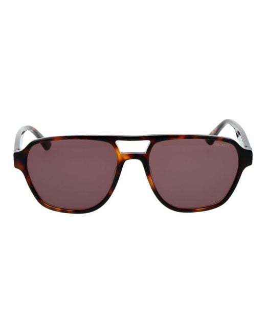 Hackett Brown Acetate Sunglasses for men