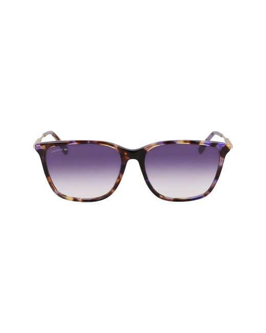 Lacoste Purple Acetate Sunglasses