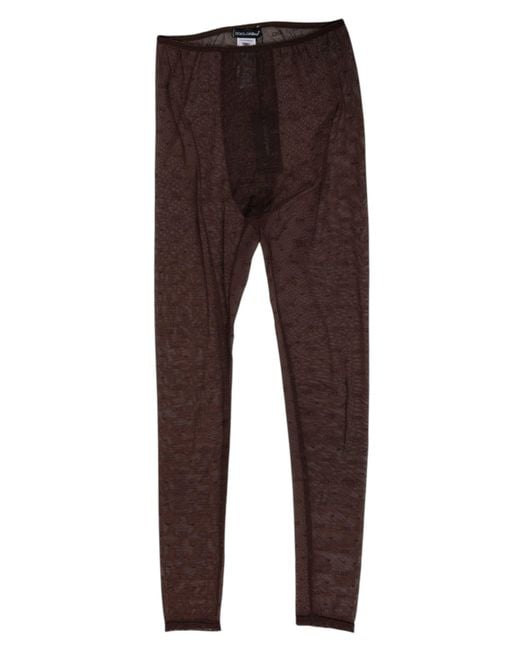 Dolce & Gabbana Brown Mesh Logo Leggings