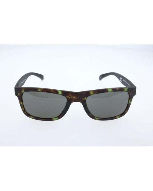 Adidas Gray Brown Acetate Sunglasses for men