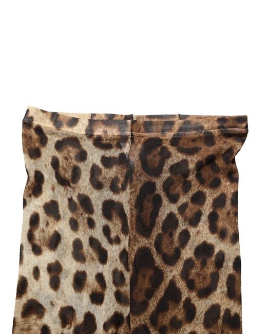 Dolce & Gabbana Brown Leopard Nylon Tights Stocking Pantyhose Socks