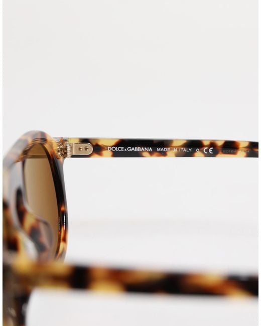 Dolce & Gabbana Brown Acetate Round Leopard Print Eyewear Sunglasses