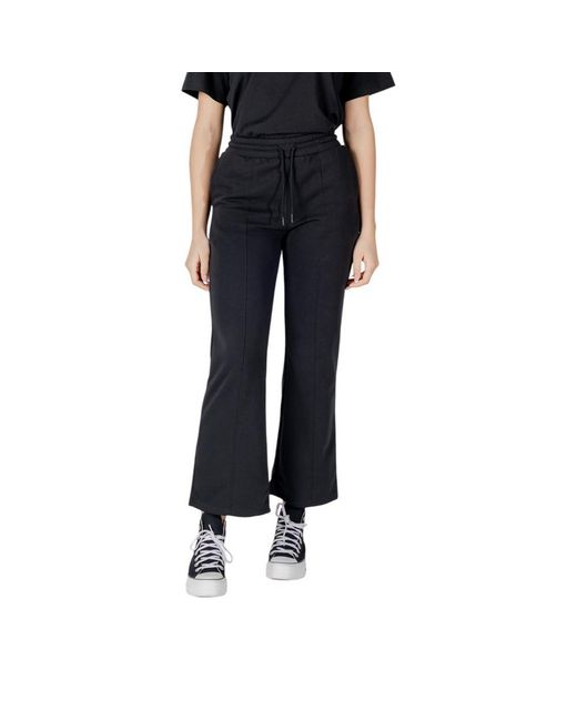 Converse Blue Black Cotton Jeans & Pant