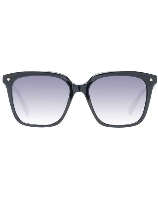 Ted Baker Blue Black Sunglasses
