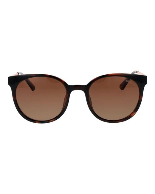 Guess Brown Plastic Sunglasses