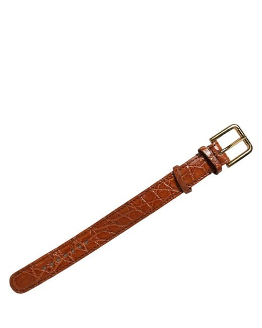 Dolce & Gabbana Metallic Brown Textured Leather Gold Buckle Belt Strap Bracelet