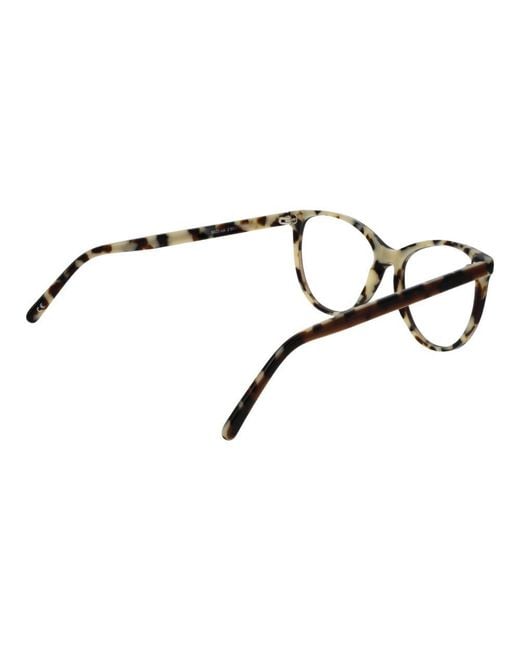 Andy Wolf Black Brown Acetate Glasses (frames)