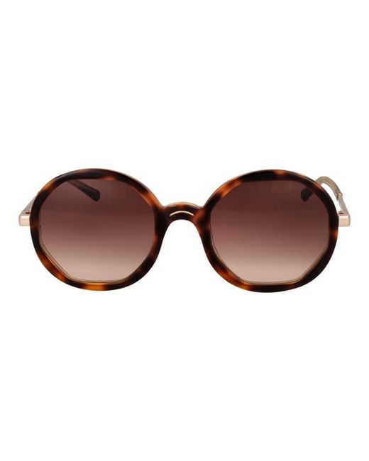 Sandro Brown Acetate Sunglasses