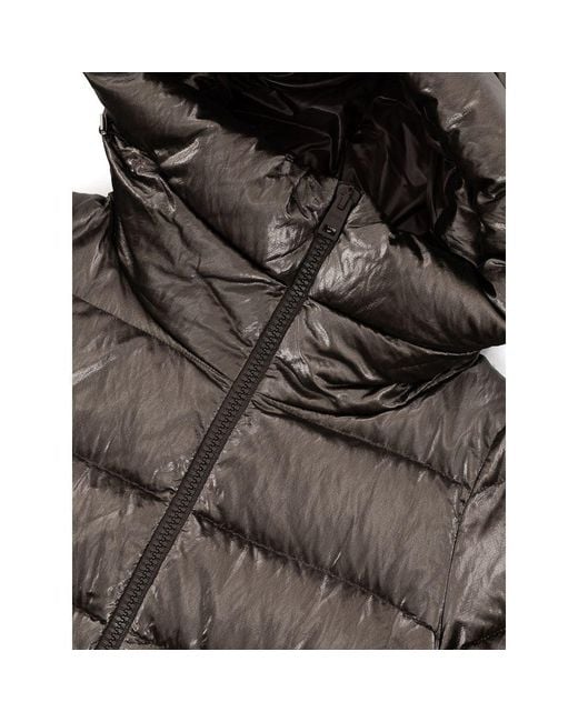 Herno Brown Viscose Jackets & Coat