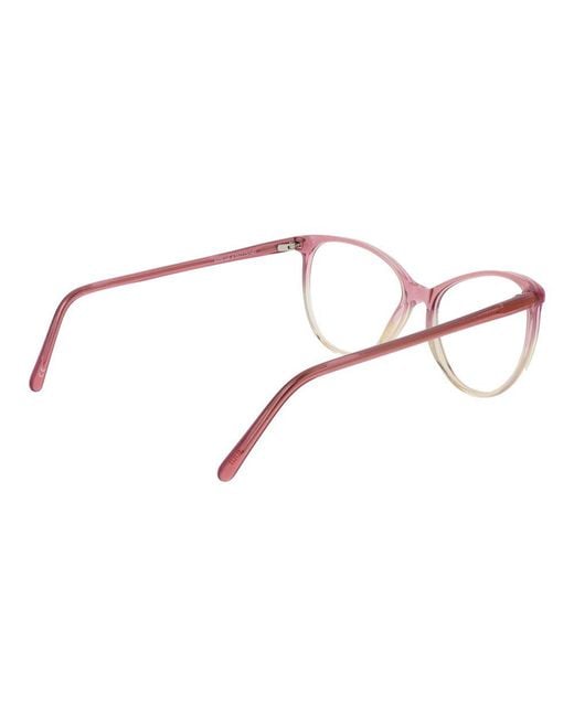 Andy Wolf Brown Acetate Glasses (Frames)
