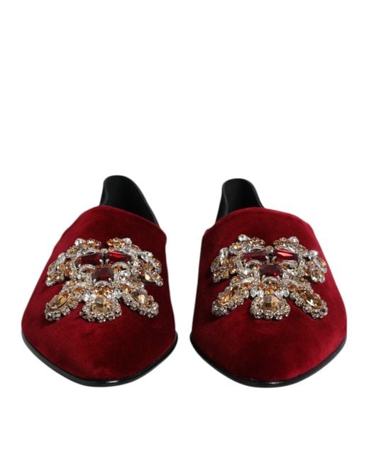 Dolce & Gabbana Brown Black Red Velvet Embellished Slip On Shoes for men