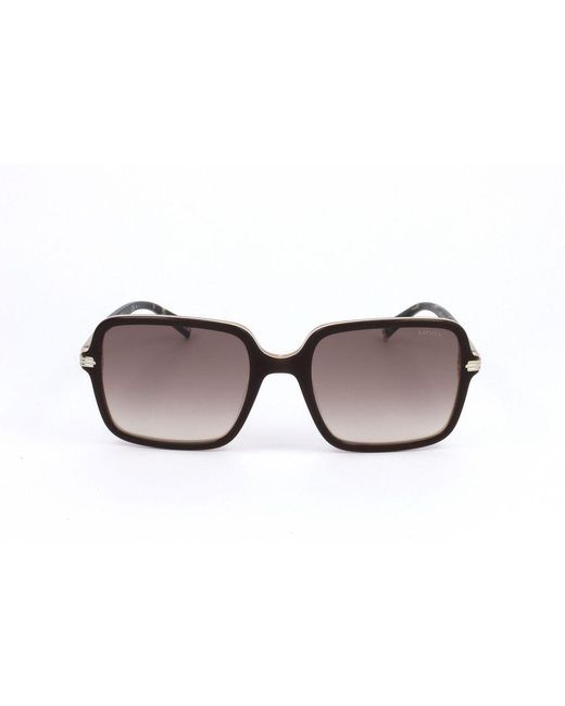 Levi's Brown Black Resin Sunglasses