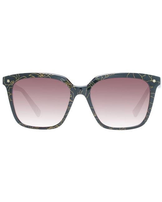 Ted Baker Brown Multicolor Sunglasses