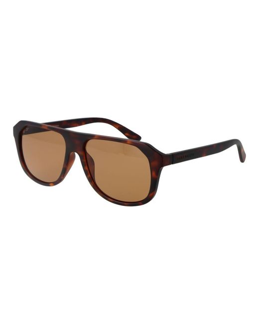 Serengeti Brown Men Sunglasses for men