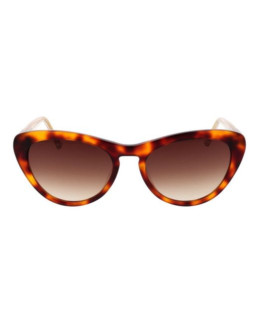 Ted Baker Brown Multicolor Acetate Sunglasses