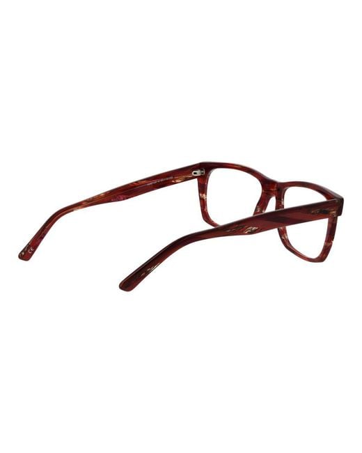 Andy Wolf Brown Acetate Glasses (Frames)