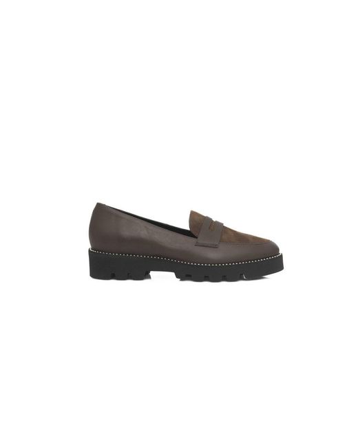 Cerruti 1881 Multicolor Brown Cowhide Loafer
