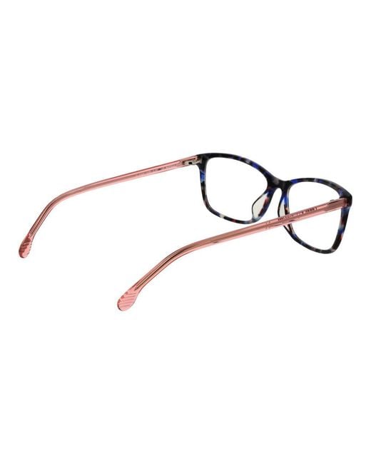 Lozza Brown Cellulose Acetate Glasses (Frames)