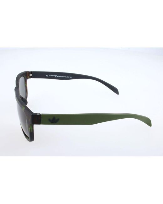 Adidas Gray Brown Acetate Sunglasses for men