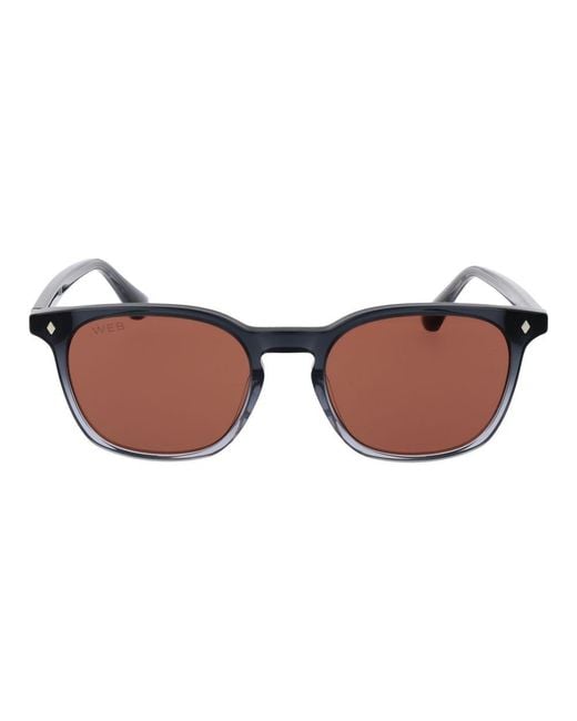 Web Brown Gray Acetate Sunglasses for men