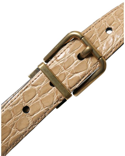 Dolce & Gabbana Multicolor Elegant Leather Belt for men