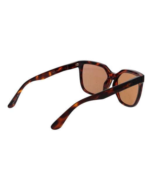 Serengeti Brown Sunglasses