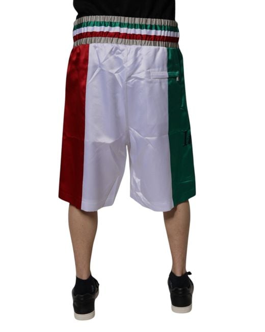Dolce & Gabbana Multicolor Italia Polyester Bermuda Shorts for men