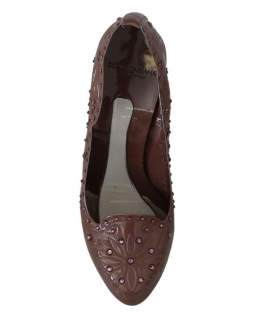 Dolce & Gabbana Floral Crystal Cinderella Pumps Brown La7288