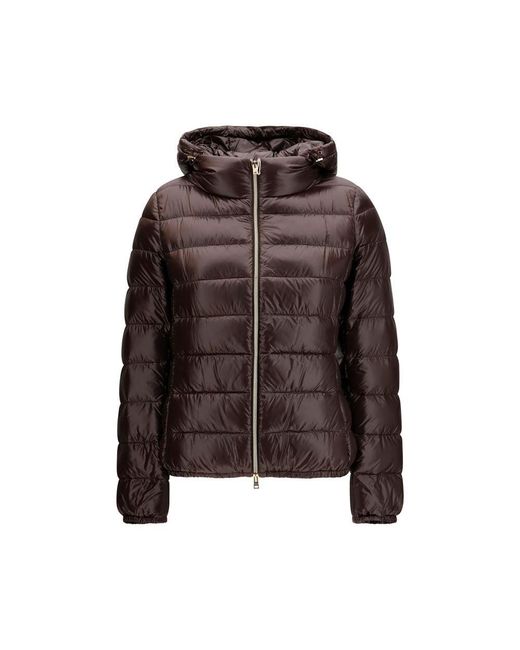 Herno Brown Polyamide Full