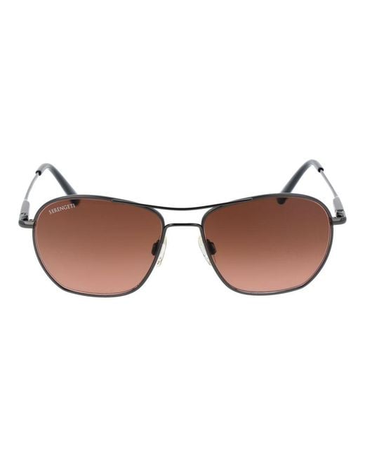 Serengeti Brown Gray Metal Sunglasses